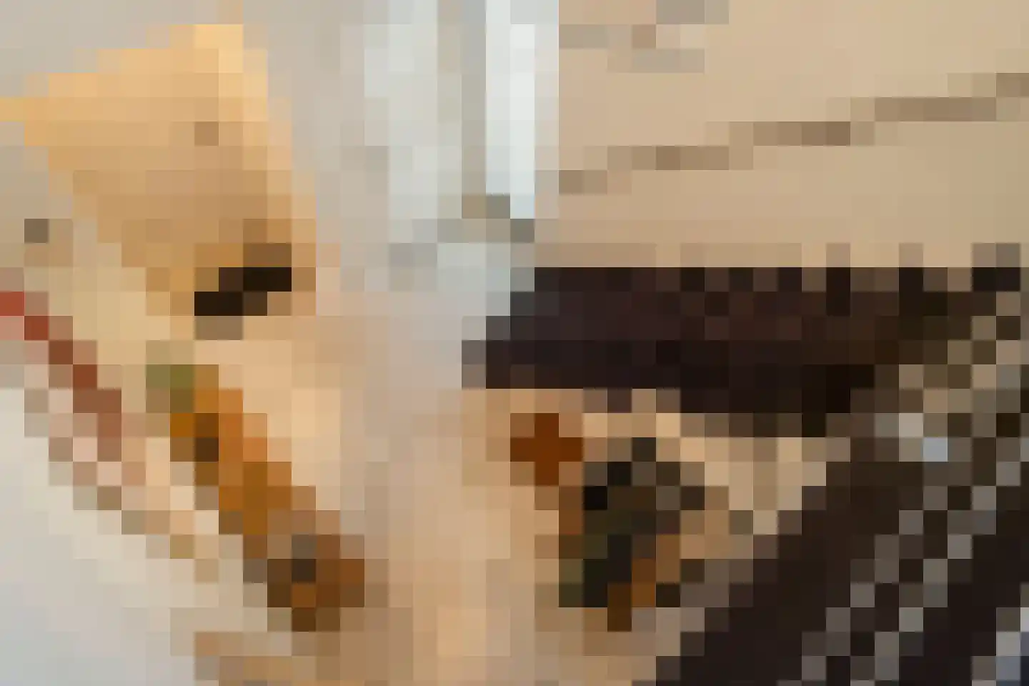 Bas Dongen 7 Dongen thumbnail 21