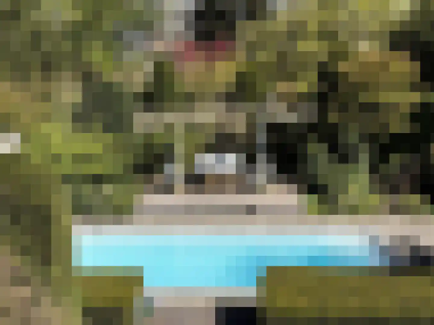Bas Dongen 7 Dongen thumbnail 31