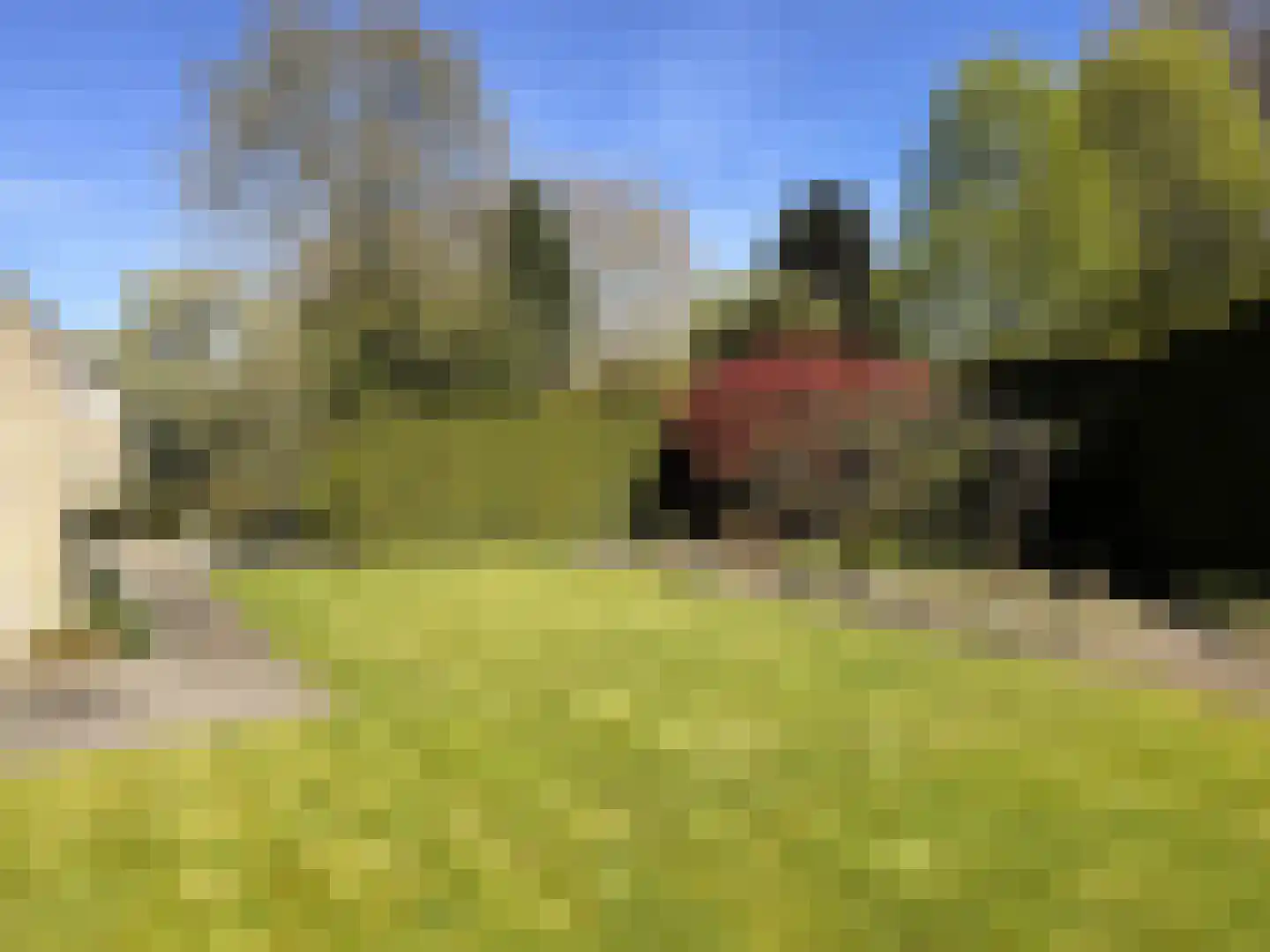 Bas Dongen 7 Dongen thumbnail 33
