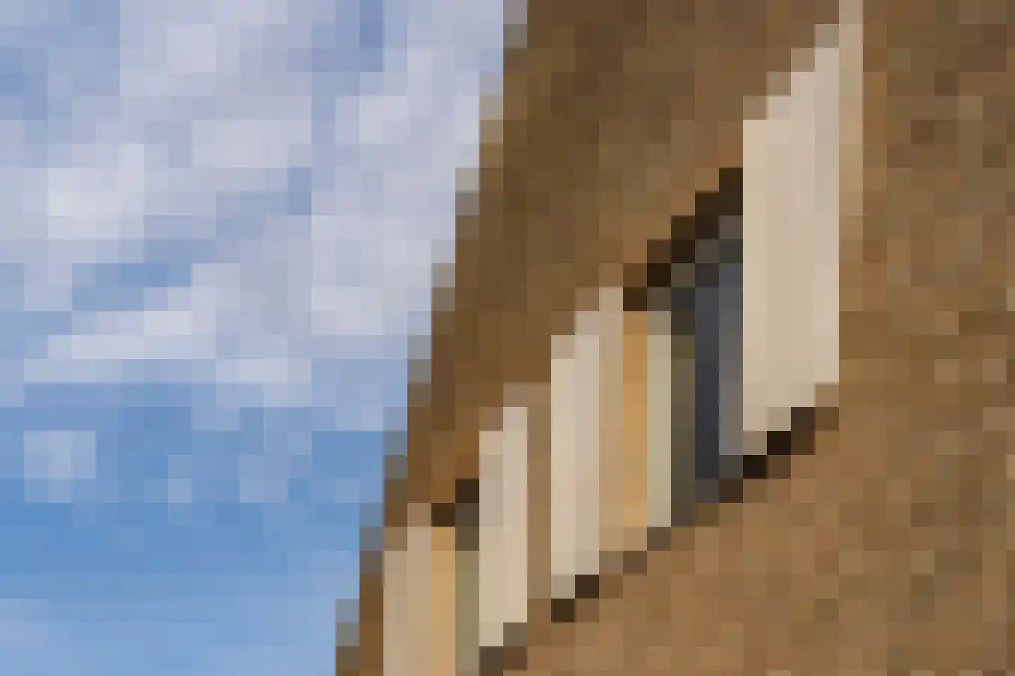 Bas Dongen 7 Dongen thumbnail 36