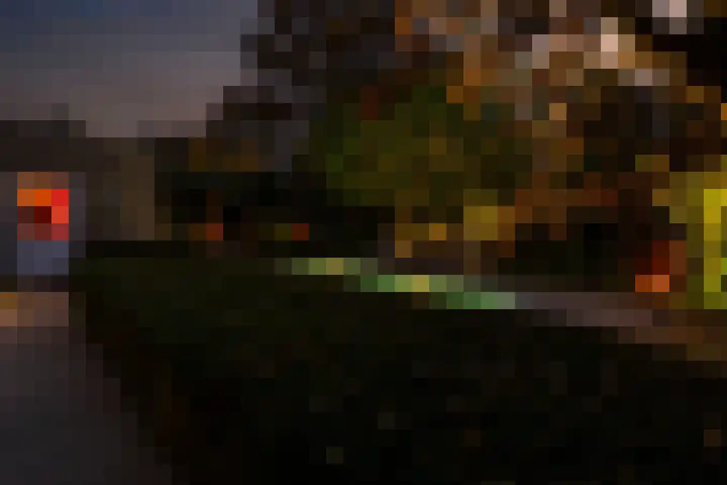 Bas Dongen 7 Dongen thumbnail 46