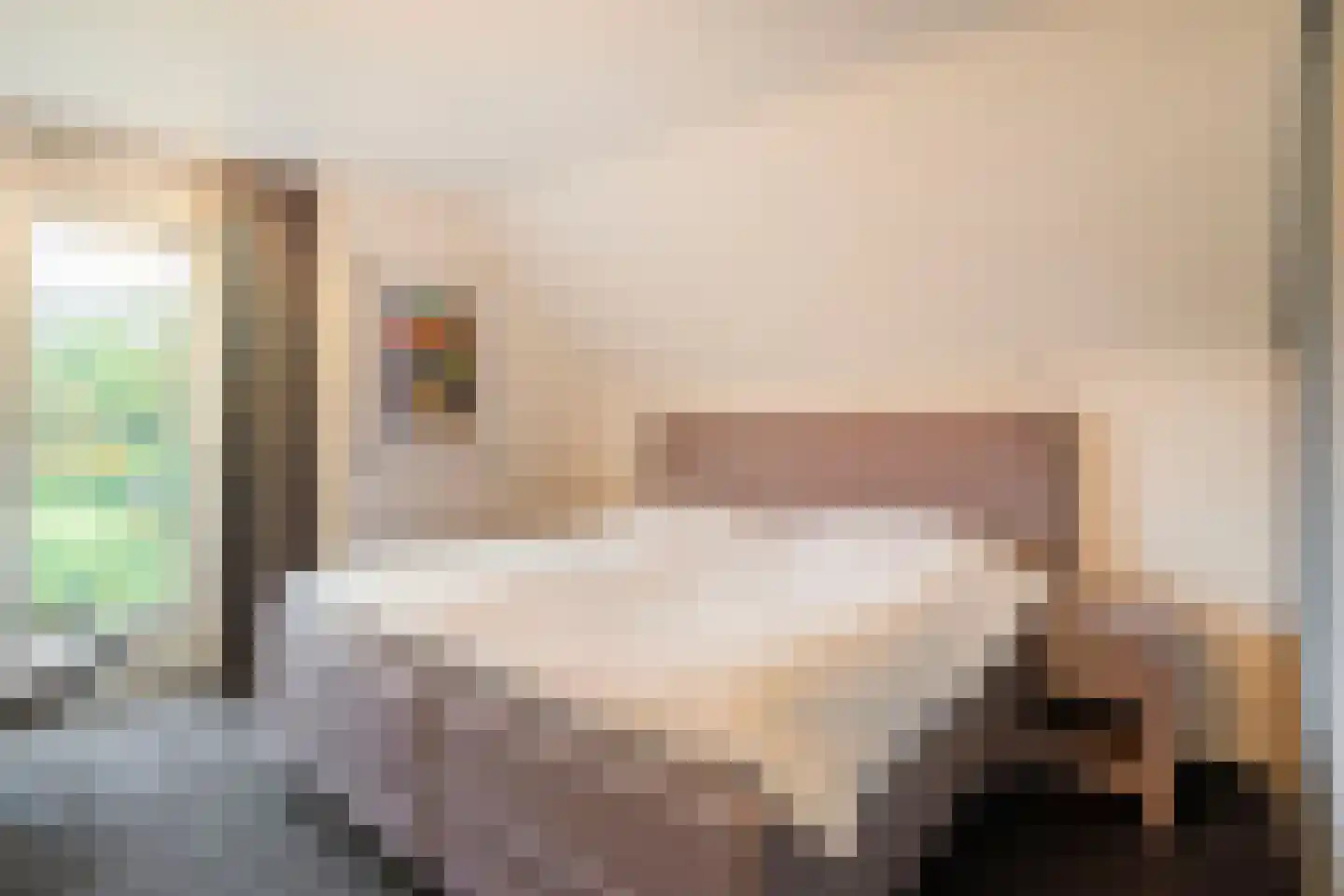 Bas Dongen 7 Dongen thumbnail 5