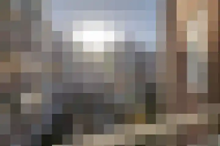 Bas Jungeriusstraat 10 A Rotterdam thumbnail 14