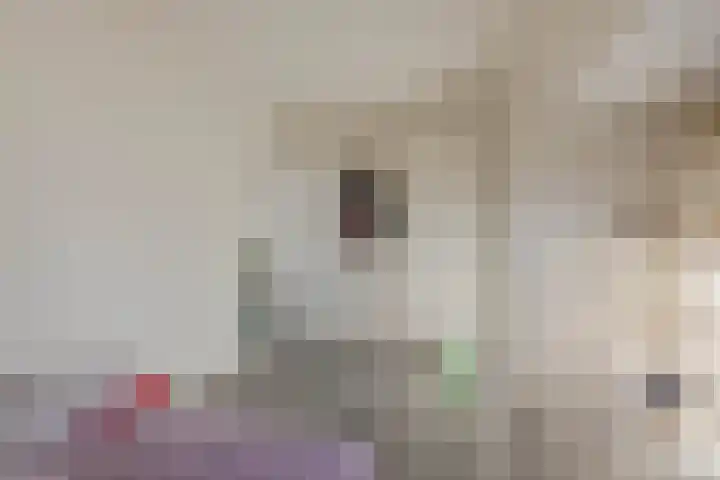 Bas Jungeriusstraat 10 A Rotterdam thumbnail 19