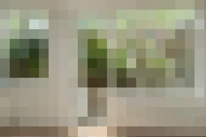 Bas Jungeriusstraat 108 C Rotterdam thumbnail 5