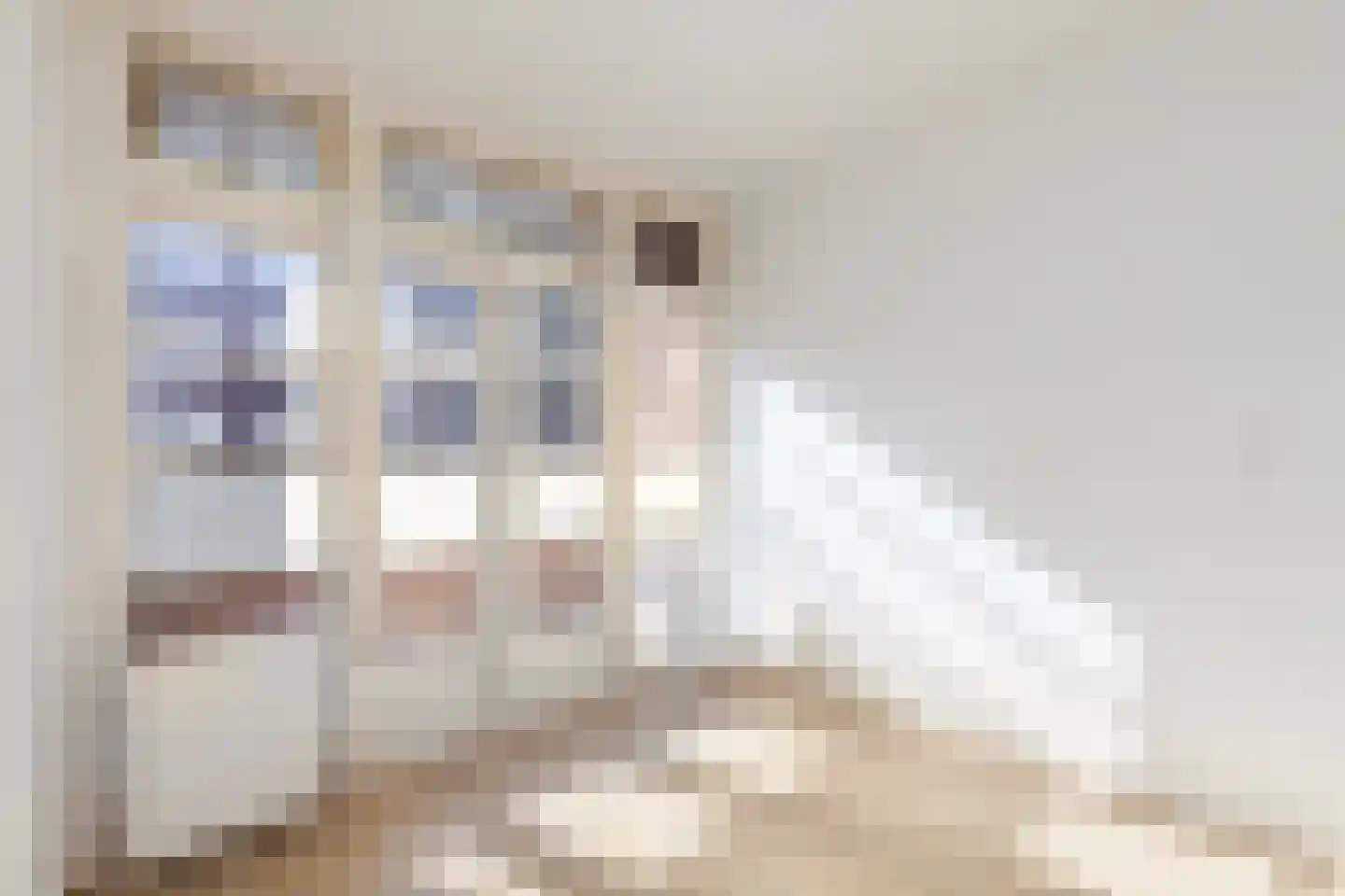 Bas Jungeriusstraat 128 C Rotterdam thumbnail 17