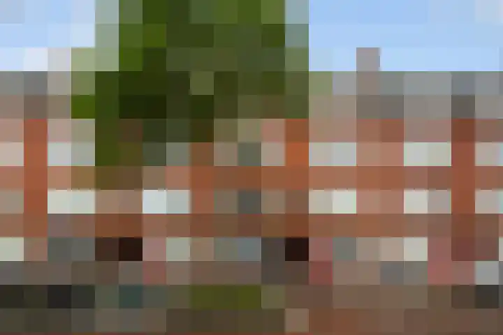 Bas Jungeriusstraat 134 B Rotterdam thumbnail 31