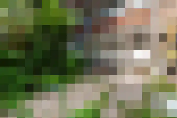 Bas Jungeriusstraat 144 B Rotterdam thumbnail 17