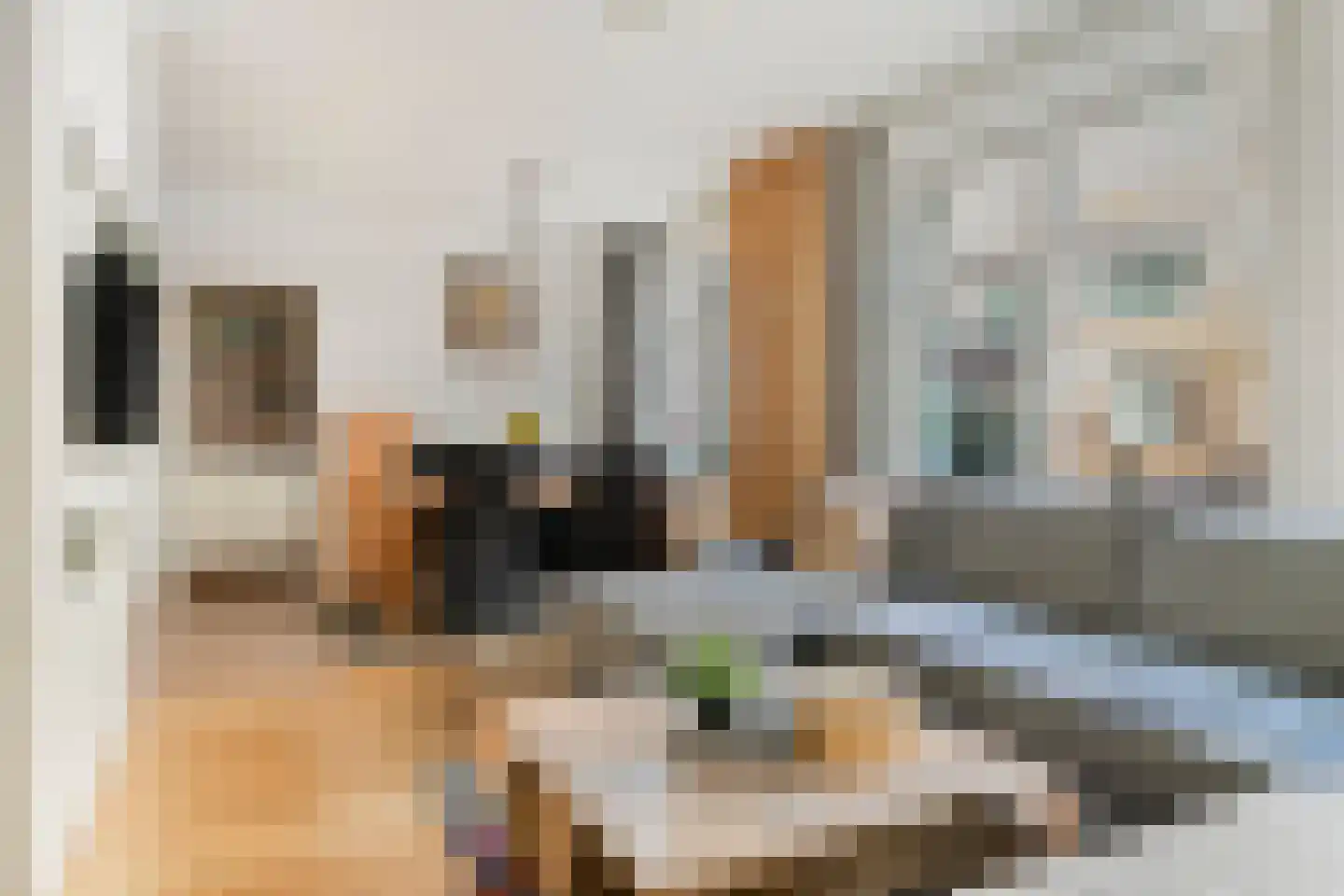 Bas Jungeriusstraat 194 C Rotterdam thumbnail 11