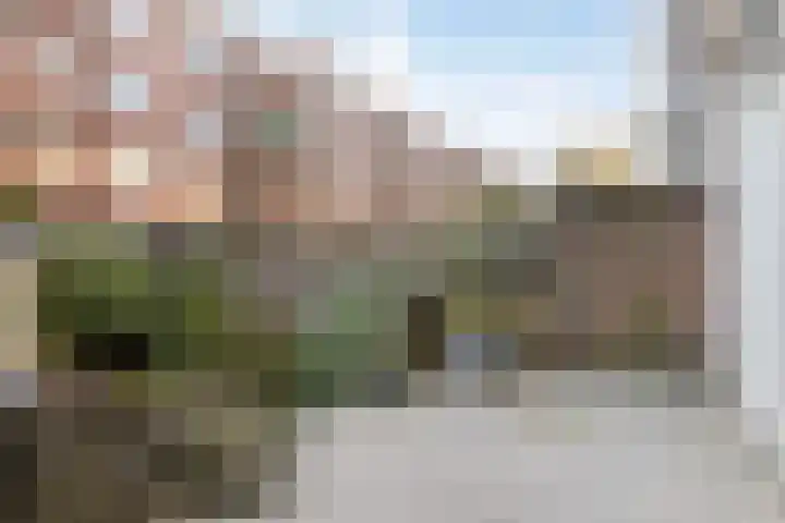 Bas Jungeriusstraat 96 C Rotterdam thumbnail 25