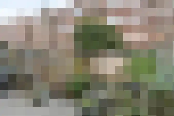 Bas Jungeriusstraat 96 C Rotterdam thumbnail 26