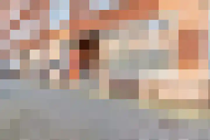 Bas Jungeriusstraat 96 C Rotterdam thumbnail 30