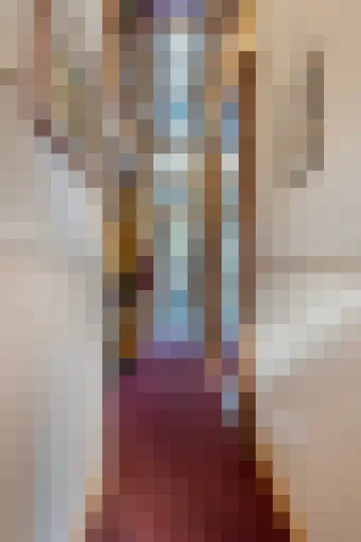 Bas Jungeriusstraat 96 C Rotterdam thumbnail 6