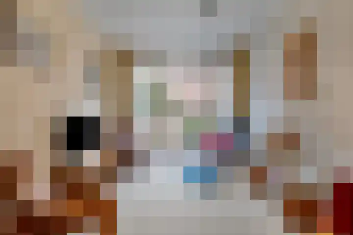 Bas Jungeriusstraat 96 C Rotterdam thumbnail 9