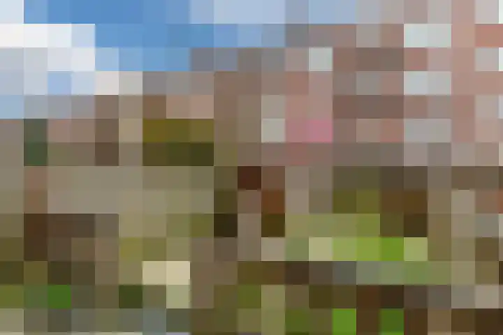 Bas Jungeriusstraat 98 B Rotterdam thumbnail 5