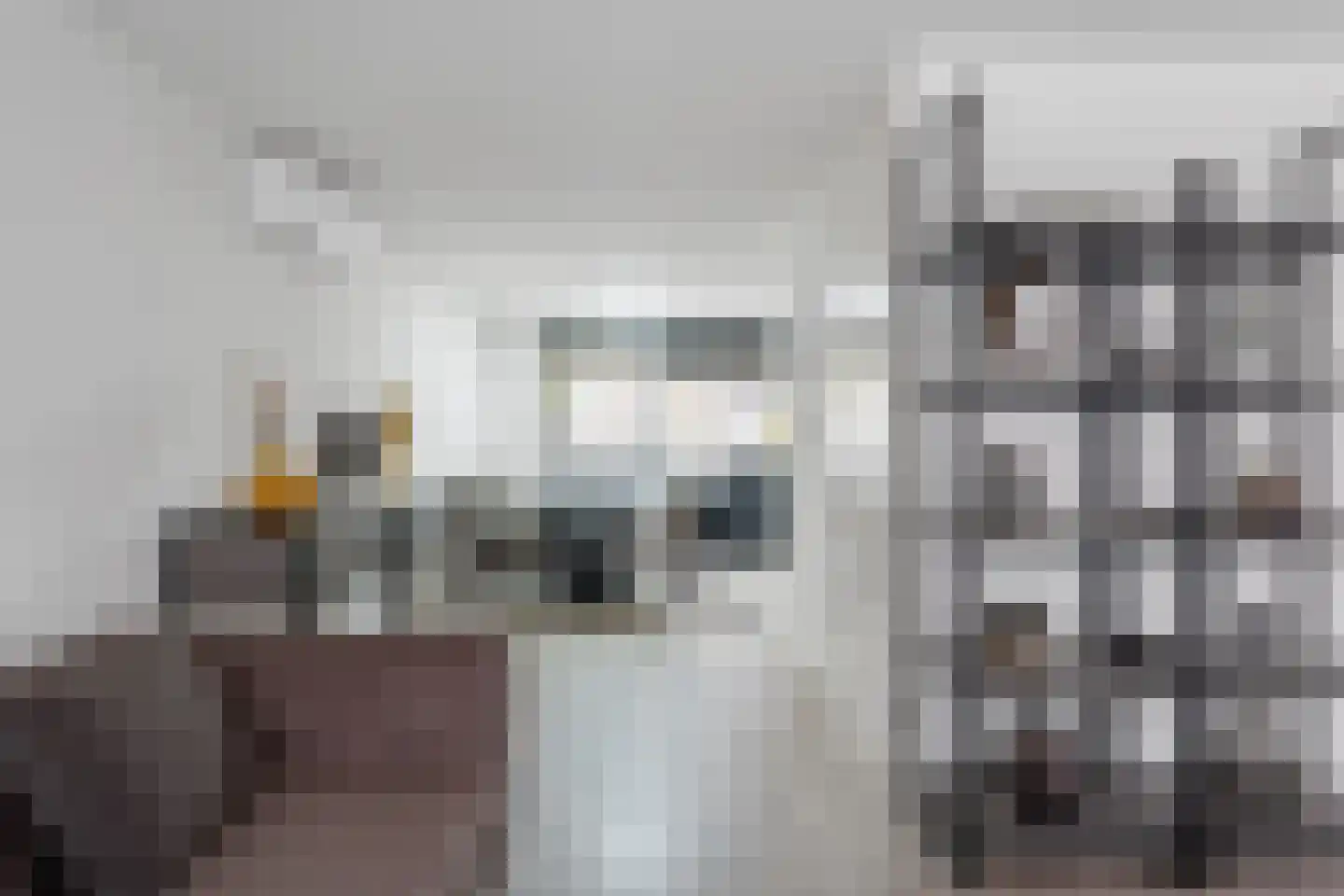 Bas Paauwestraat 5 Rotterdam thumbnail 4