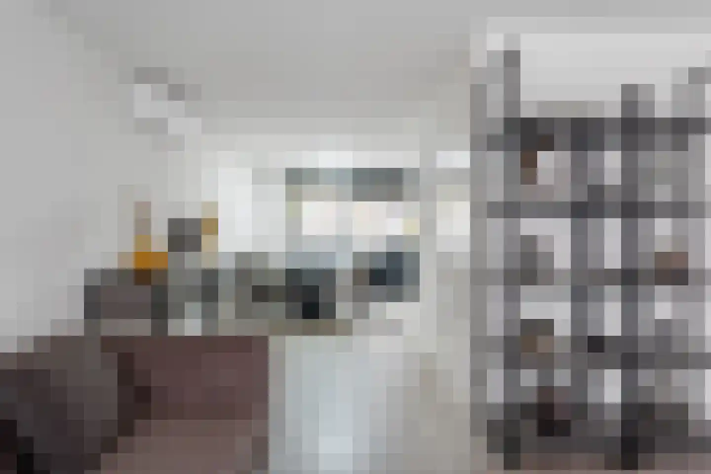Bas Paauwestraat 5 Rotterdam thumbnail 5