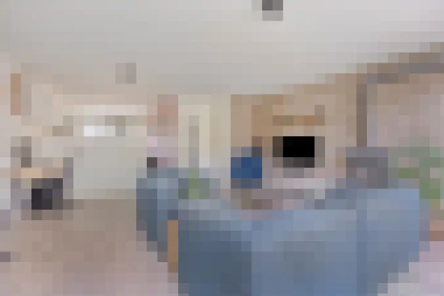 Basalt 18 Zoetermeer thumbnail 12