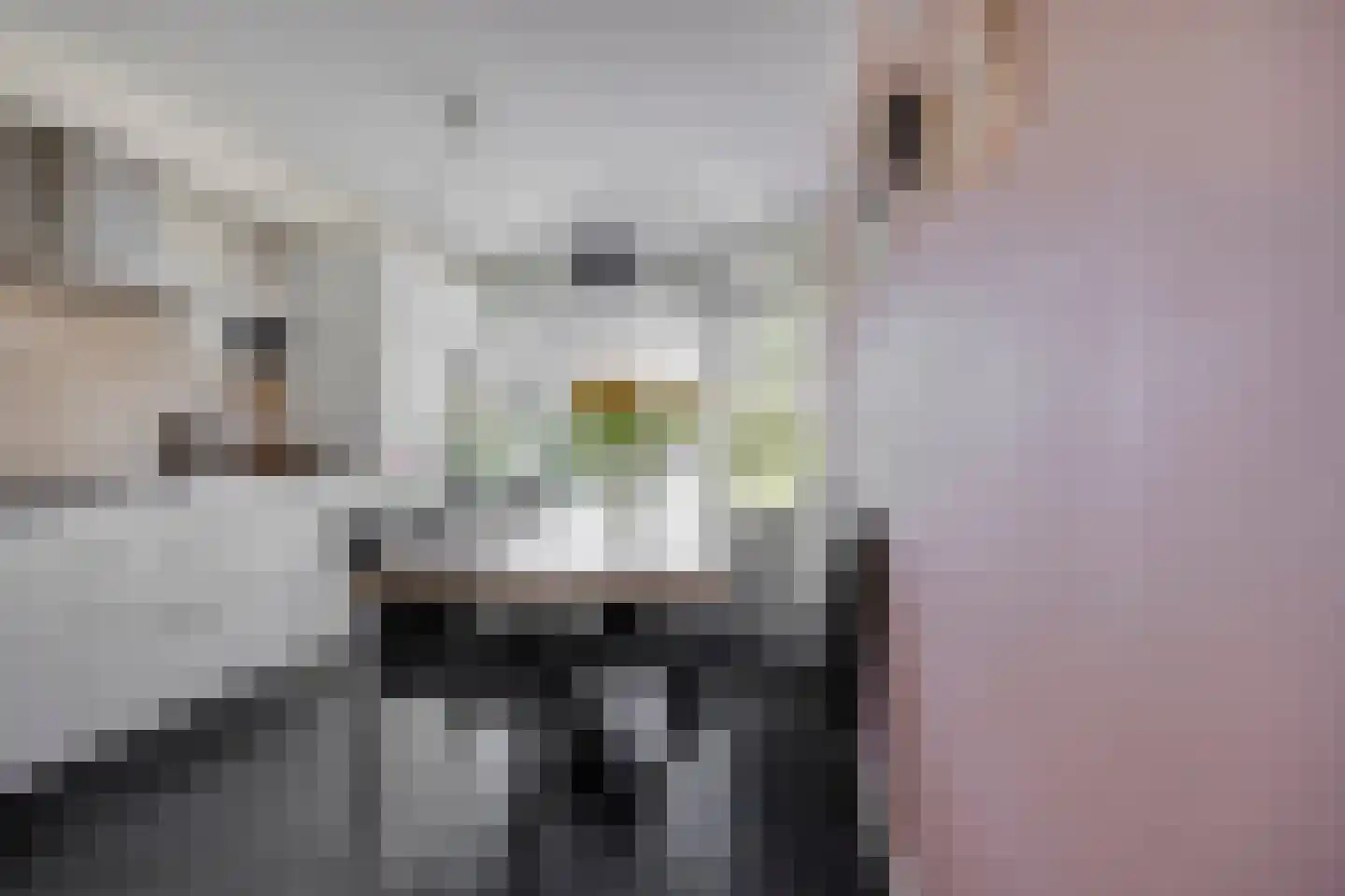 Basalt 18 Zoetermeer thumbnail 13