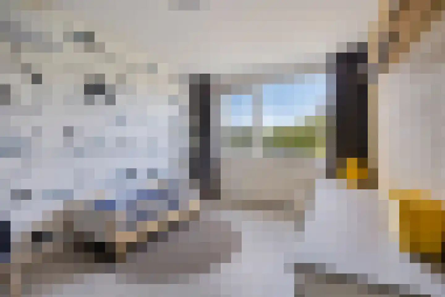 Basalt 18 Zoetermeer thumbnail 27