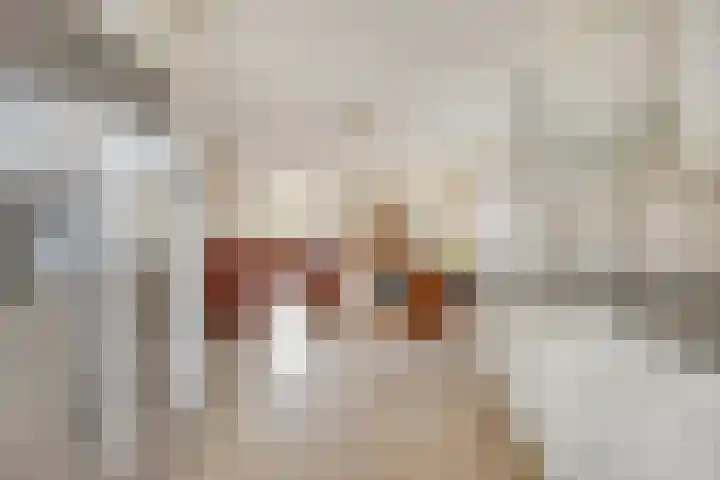 Basalt 27 Zoetermeer thumbnail 17