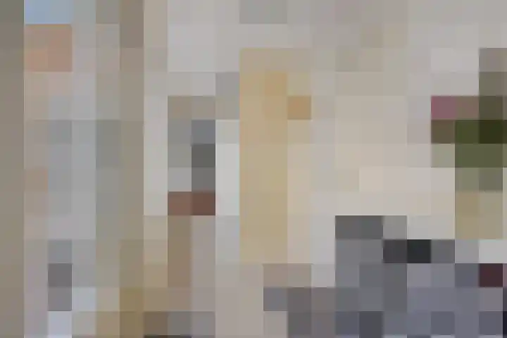 Basalt 27 Zoetermeer thumbnail 18