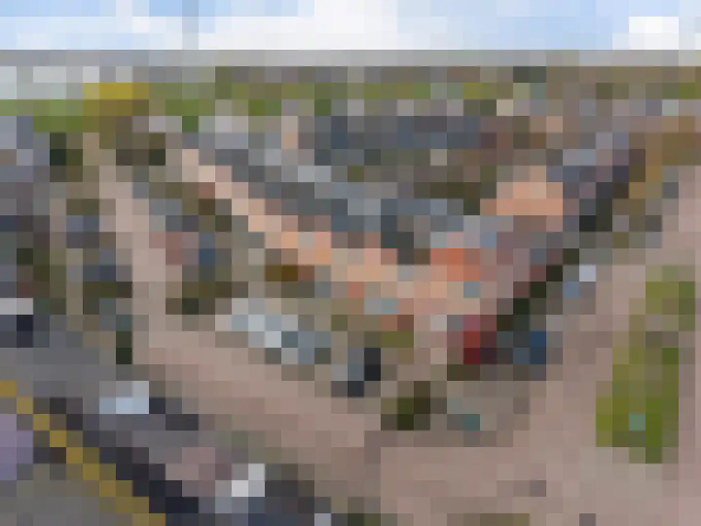 Basalt 29 Zoetermeer thumbnail 5