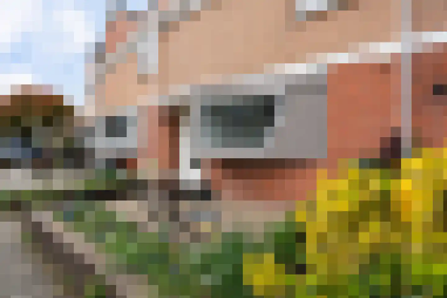 Basalt 29 Zoetermeer thumbnail 6