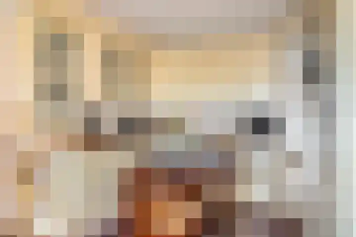 Basalt 44 Malden thumbnail 16