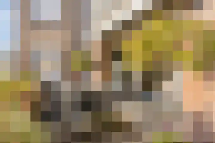 Basalt 44 Malden foto 2