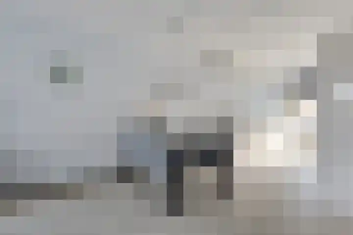 Basalt 46 Zoetermeer thumbnail 12