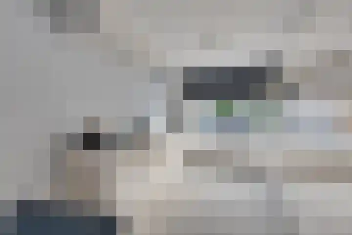 Basalt 46 Zoetermeer thumbnail 13