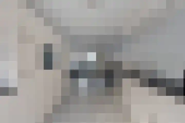 Basalt 46 Zoetermeer thumbnail 16
