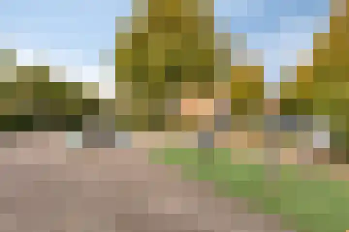 Basalt 46 Zoetermeer thumbnail 33