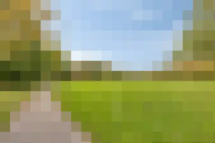 Basalt 46 Zoetermeer thumbnail 34