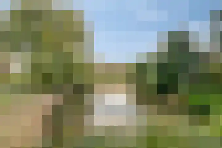 Basalt 46 Zoetermeer thumbnail 35