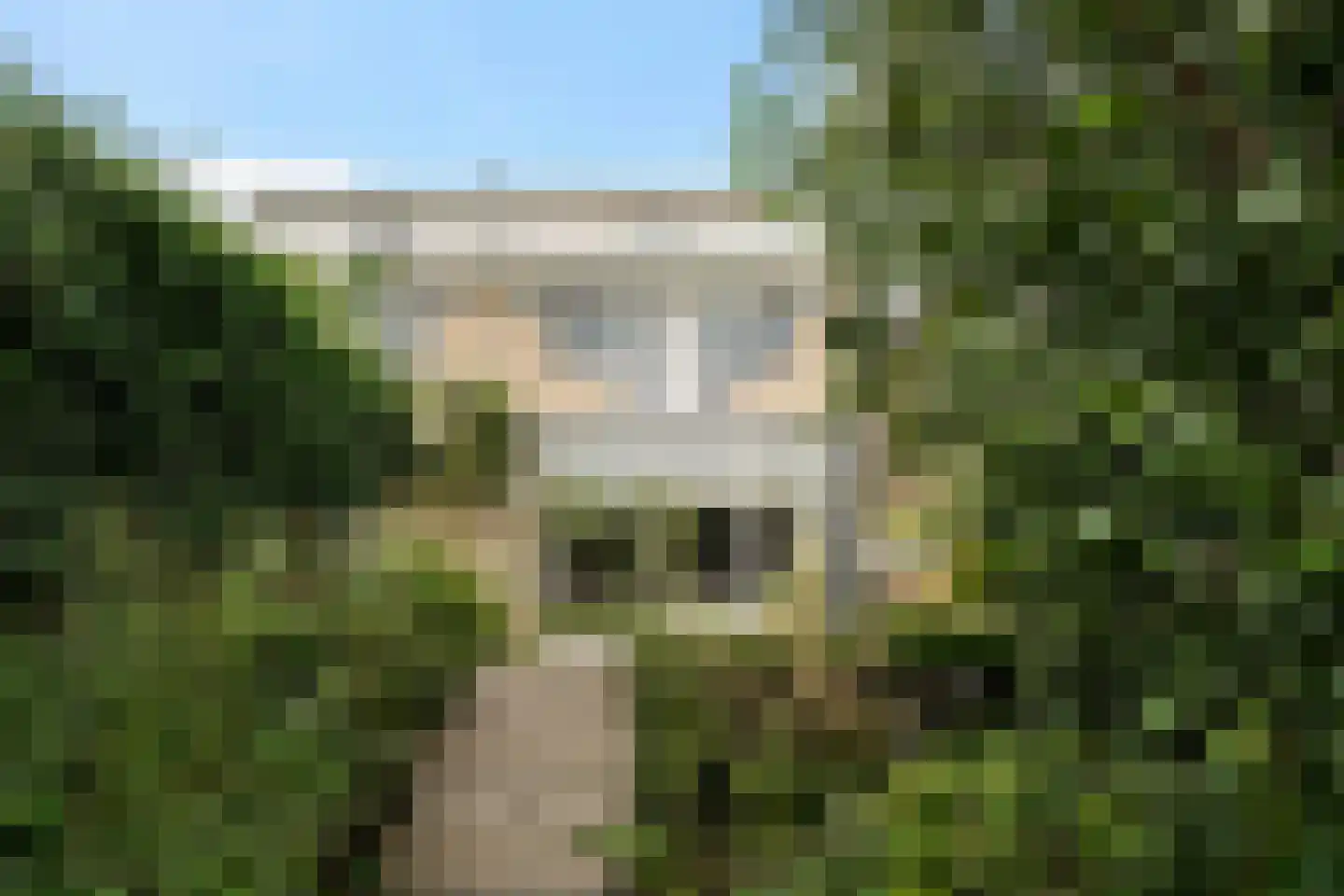 Basalt 59 Zoetermeer thumbnail 30