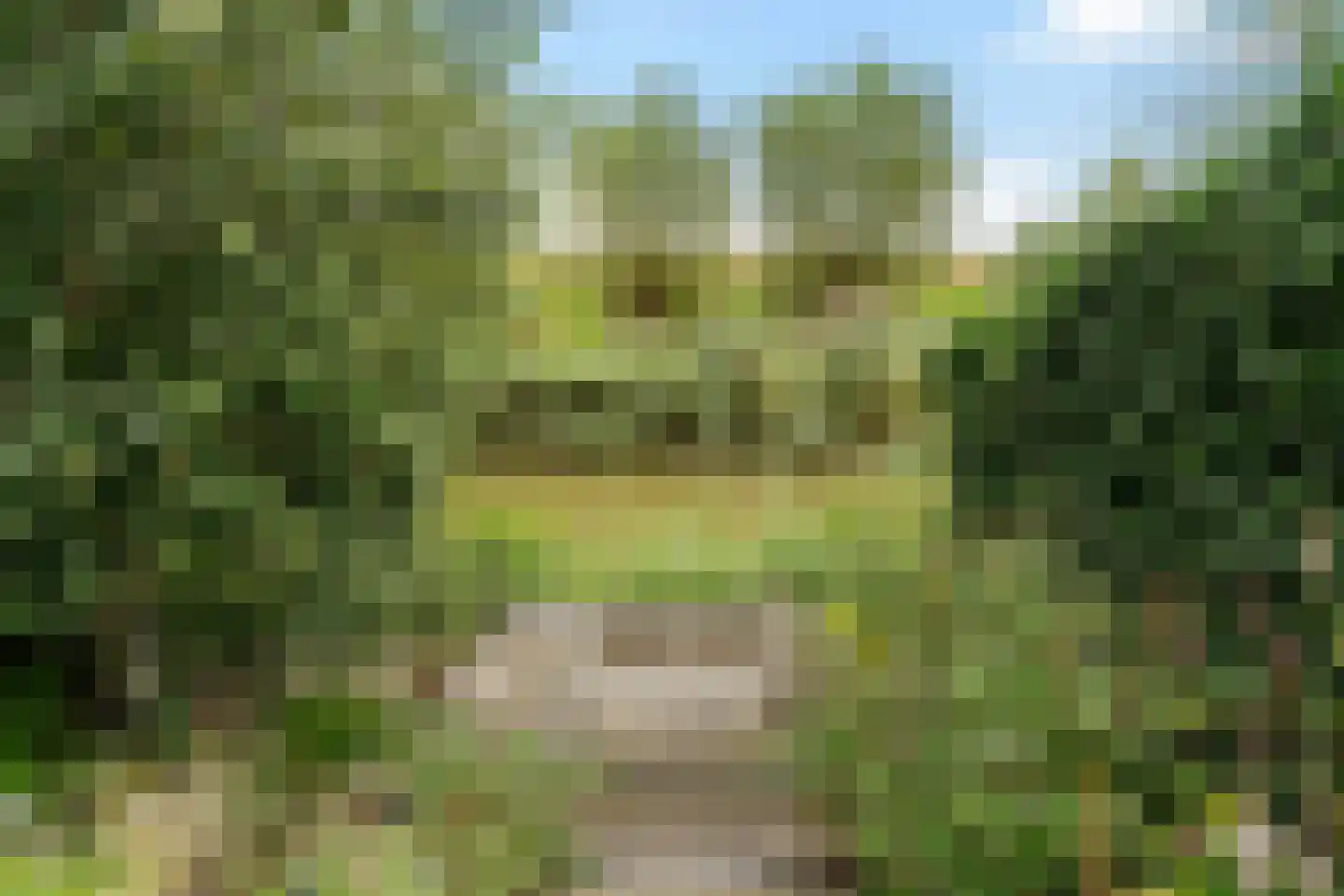 Basalt 59 Zoetermeer thumbnail 34