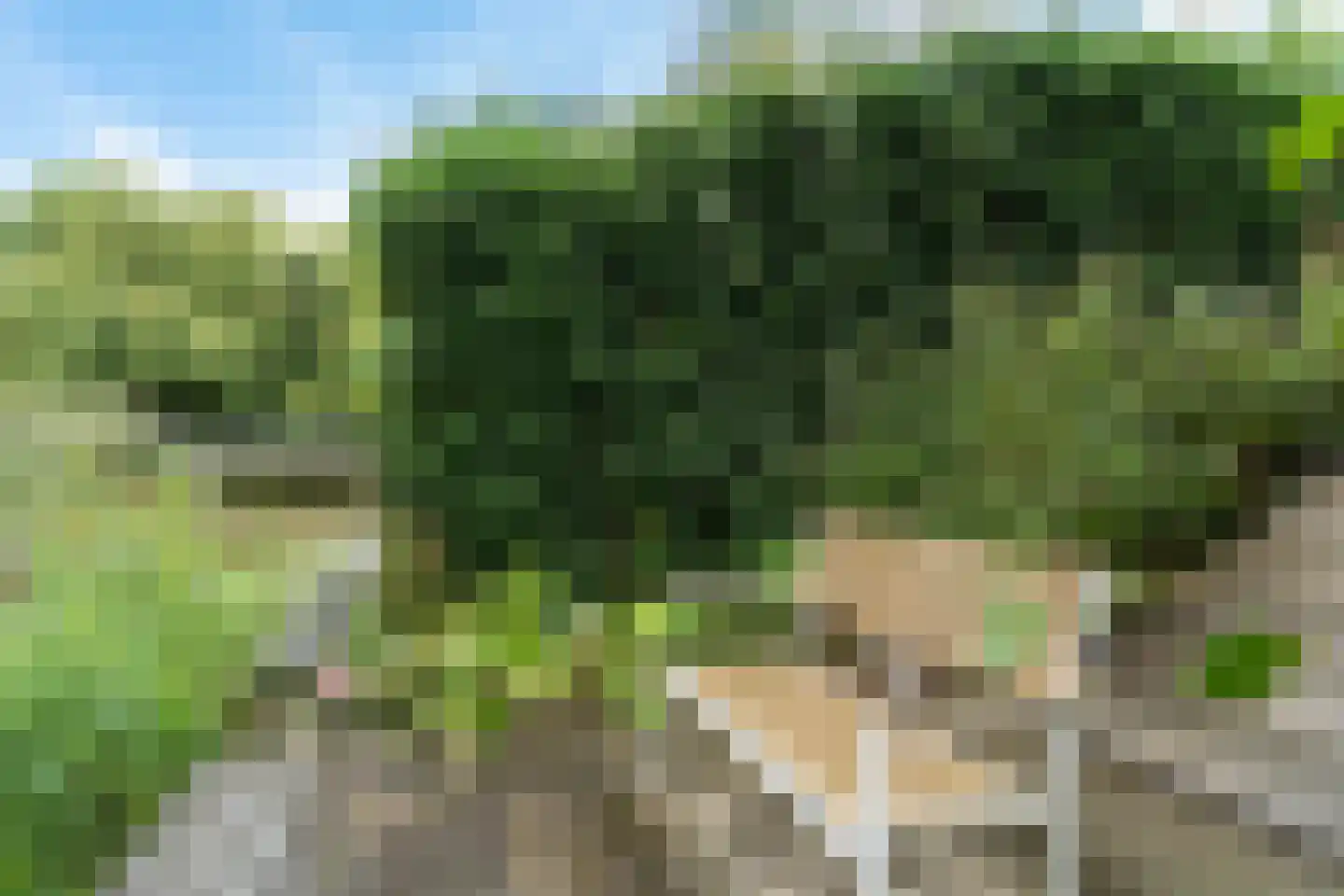 Basalt 59 Zoetermeer thumbnail 35
