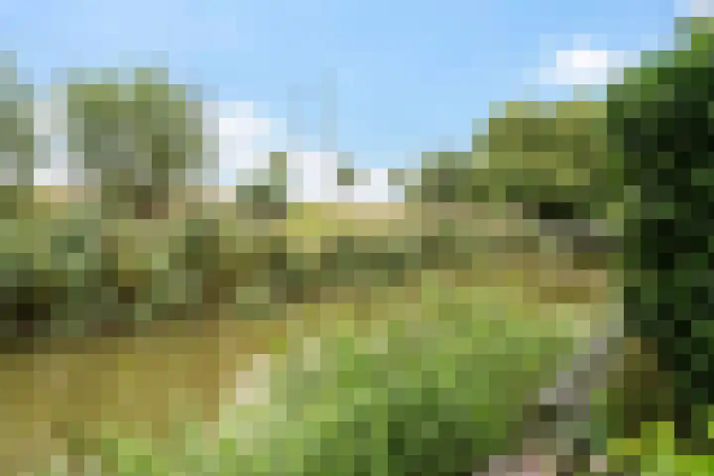 Basalt 59 Zoetermeer thumbnail 36