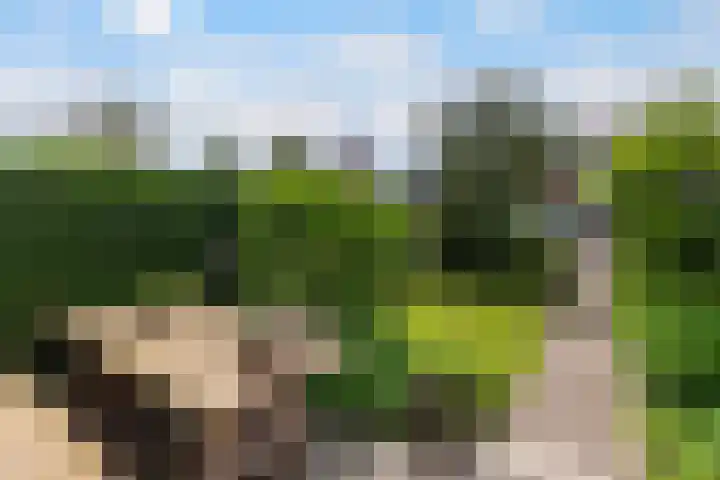 Basalt 66 Zoetermeer thumbnail 15