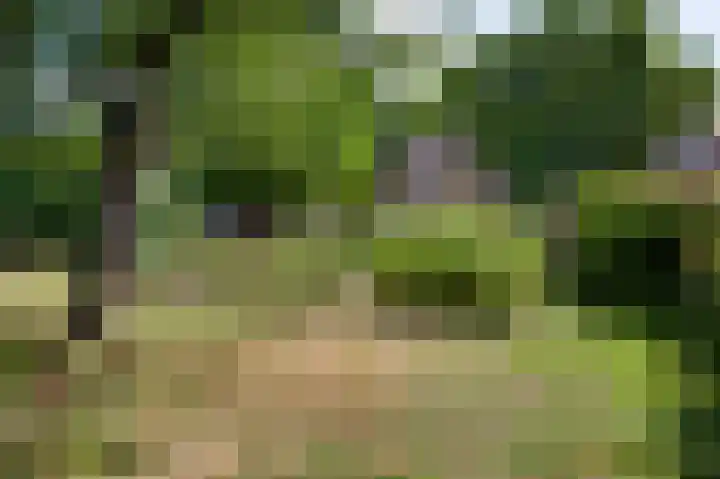 Basalt 66 Zoetermeer thumbnail 23