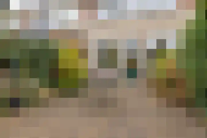 Basalt 66 Zoetermeer thumbnail 39