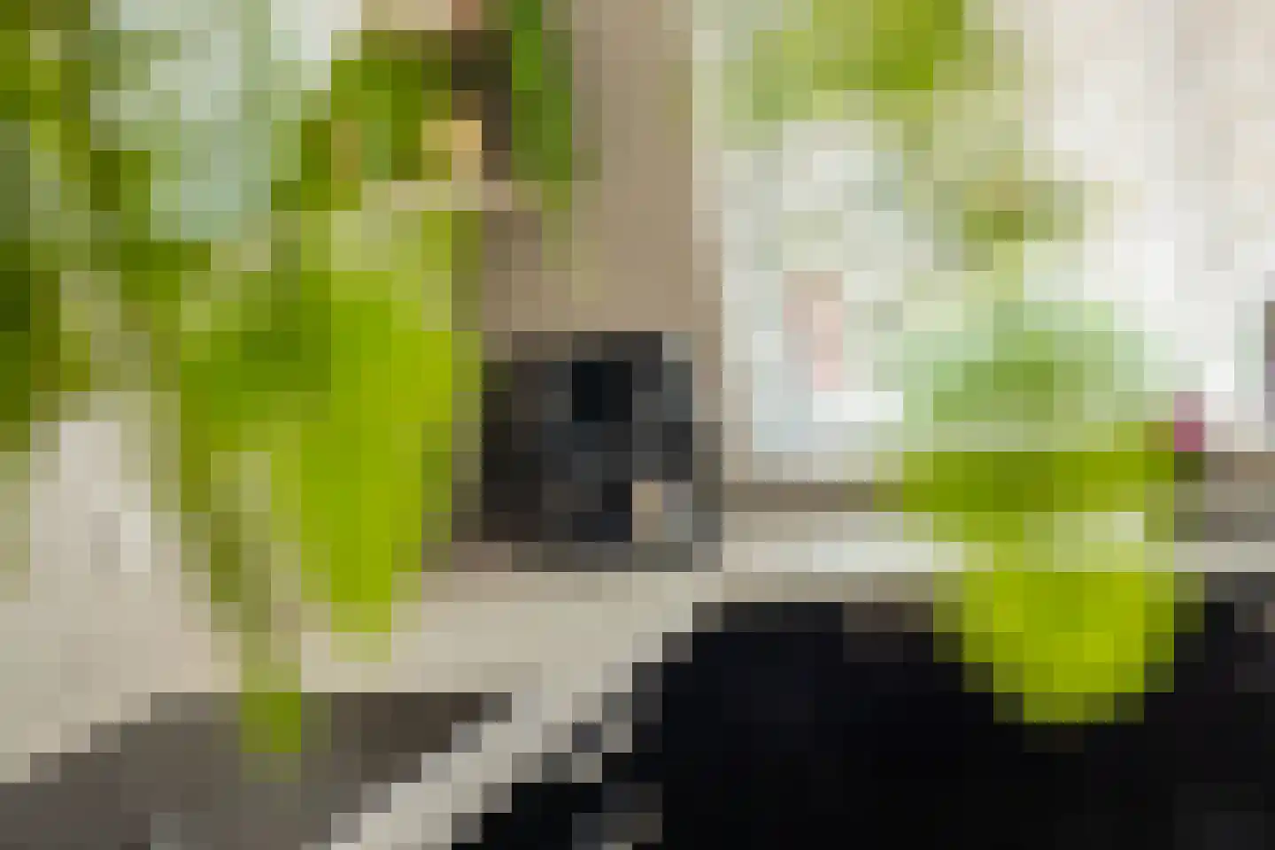 Basalt 86 Zoetermeer thumbnail 5
