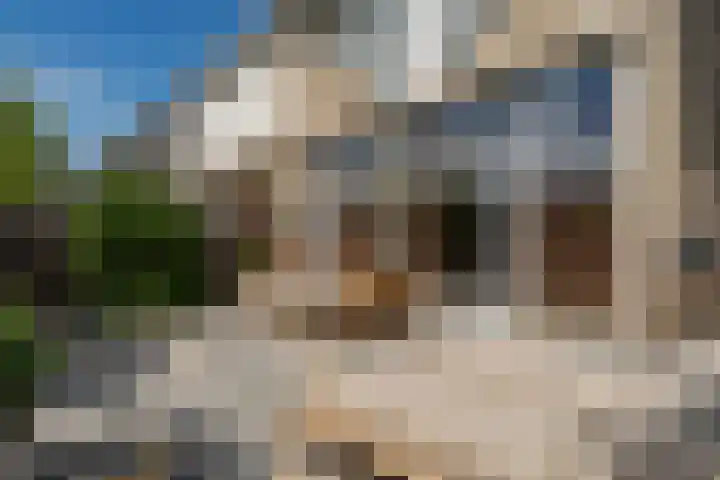 Basalt 87 Zoetermeer thumbnail 37