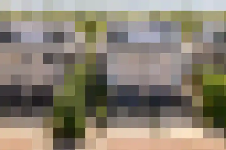 Basalt 87 Zoetermeer thumbnail 4