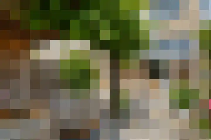 Basalt 87 Zoetermeer thumbnail 42