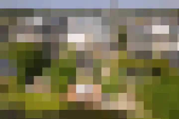 Basalt 87 Zoetermeer thumbnail 46
