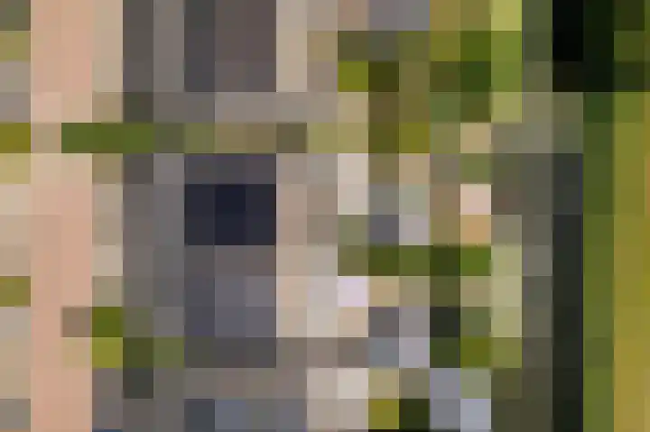 Basalt 87 Zoetermeer thumbnail 47