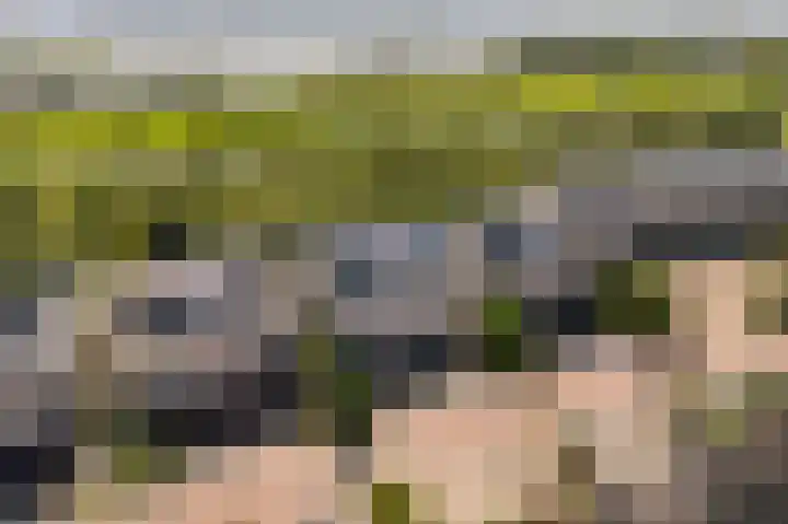 Basalt 87 Zoetermeer thumbnail 5